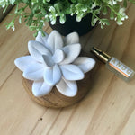 Charger l&#39;image dans la galerie, fleur en céramique qui diffuse un parfum 
