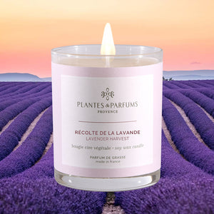 Quoi de plus beau et reposant qu'un champ de lavande ? Grace à nos bougie ces parfum, peuvent se retrouve chez vous.