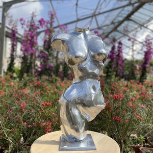 Pour une decoration intérieur contemporaine et originale, craquez pour nos bustes de femmes en aluminium. Ideal pour apporter une touche de modernisme a n'importe quelle interieur design