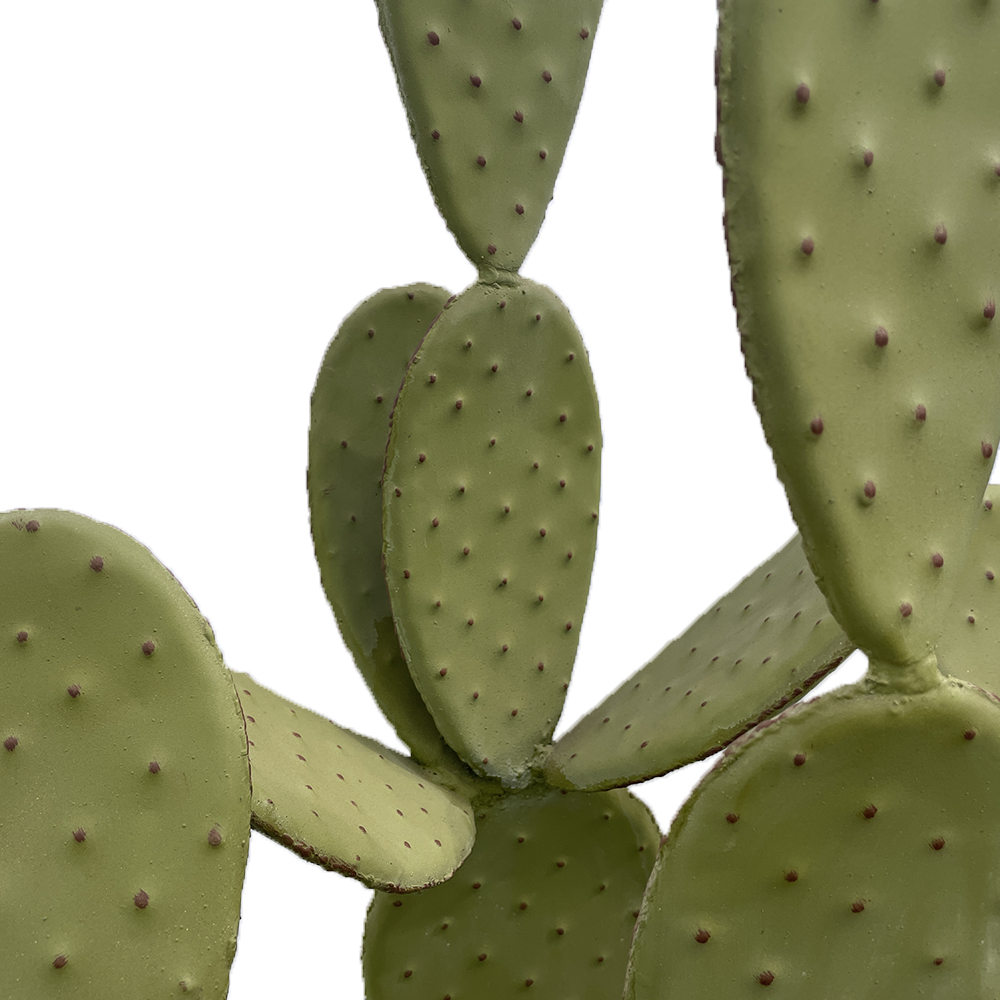 D'un réalisme a tout épreuve, nos statues de cactus en fer forge s'adapteront a tout vos styles de décorations, du plus moderne au plus bohème chic