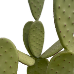 Charger l&#39;image dans la galerie, Avec sont effet naturel, peint a la main, vous allez craquez pour nos cactus artificiel en fer forgé. Statue effet réel de cactus 
