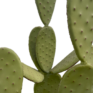 Avec sont effet naturel, peint a la main, vous allez craquez pour nos cactus artificiel en fer forgé. Statue effet réel de cactus 