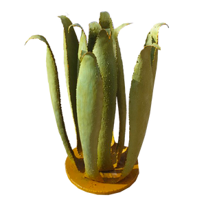Magnifique sculpture vegetal de type Agave, Aloé verá, bluffant de réalisme, nos cactus apporteront du vert a votre intérieur toute l'Annee et sans contrainte. 