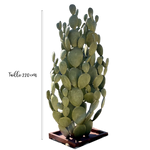 Charger l&#39;image dans la galerie, cactus de 2M20 de haut, cactus en fer forgé, on dirait un vrai ! pour une decoration extérieur atypique, craquez pour nos cactus artificiel en fer forgé
