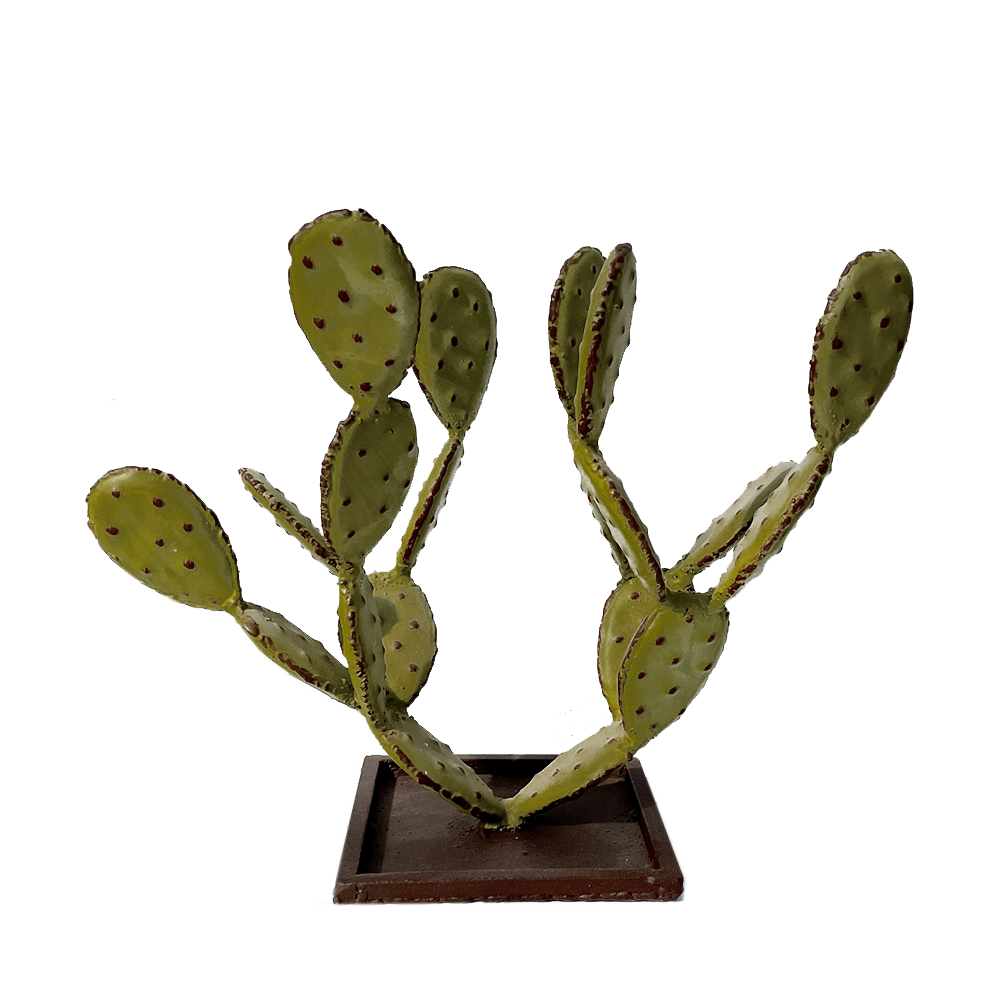 Petit cactus en fer forgé, ideal dans une salle a manger pour éblouir vos invités. cactus artificiel, effet réel, même sans avoir la main verte, ils resteront toujours les memes