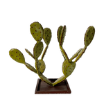 Charger l&#39;image dans la galerie, Petit cactus en fer forgé, ideal dans une salle a manger pour éblouir vos invités. cactus artificiel, effet réel, même sans avoir la main verte, ils resteront toujours les memes
