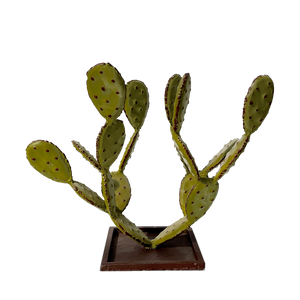 Petit cactus en fer forgé, ideal dans une salle a manger pour éblouir vos invités. cactus artificiel, effet réel, même sans avoir la main verte, ils resteront toujours les memes