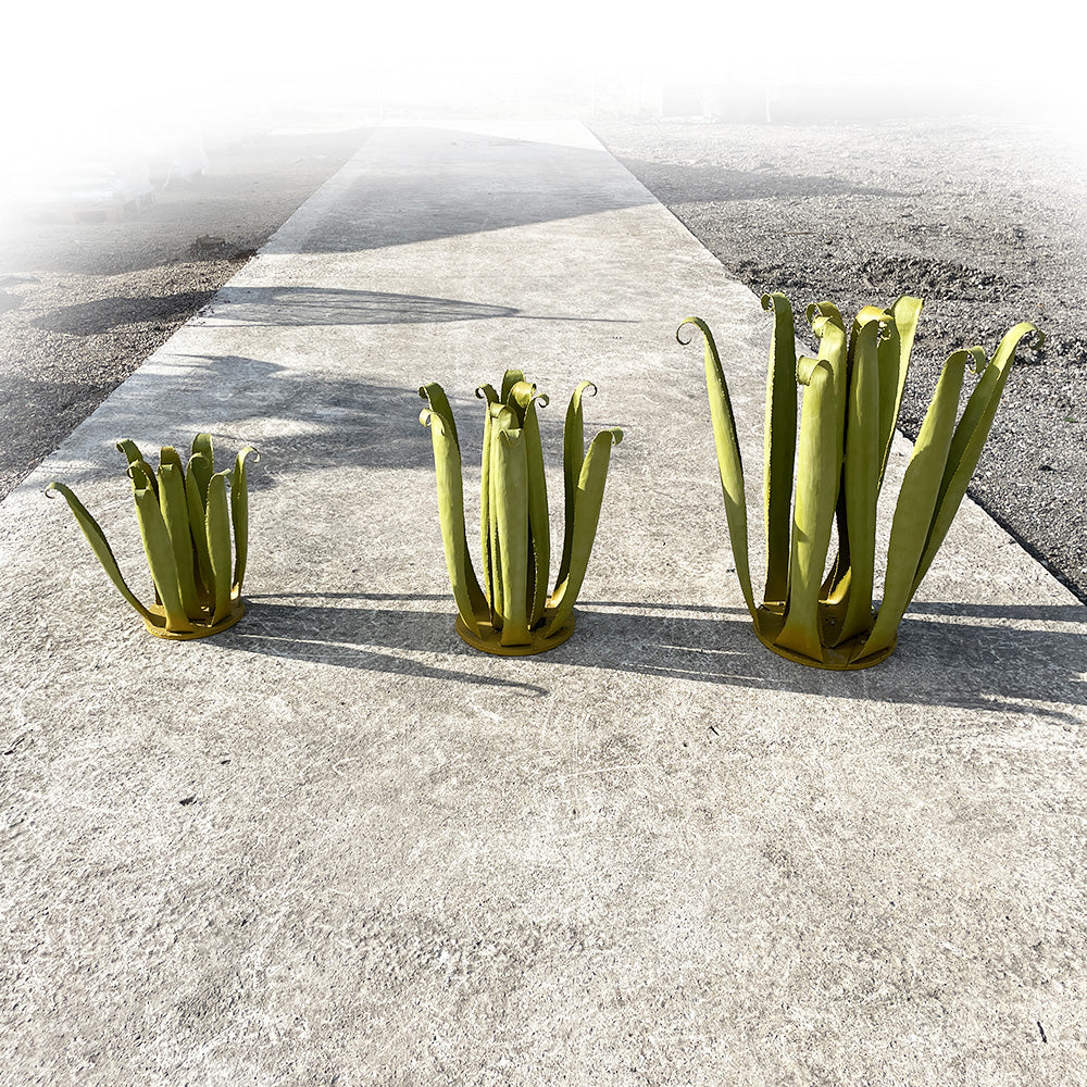 3 tailles différentes pour nos superbes Agave en fer forgé, seul ou en accumulation, a mixer avec d'autres cactus sans modération. 