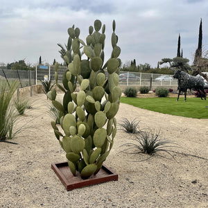 cactus artificiel en fer forgé, effet réel assuré. A placer dans votre intérieur pour une décoration méditerranéen ou dans votre jardin pour apporter un cote comtemporain et design a votre jardin. 